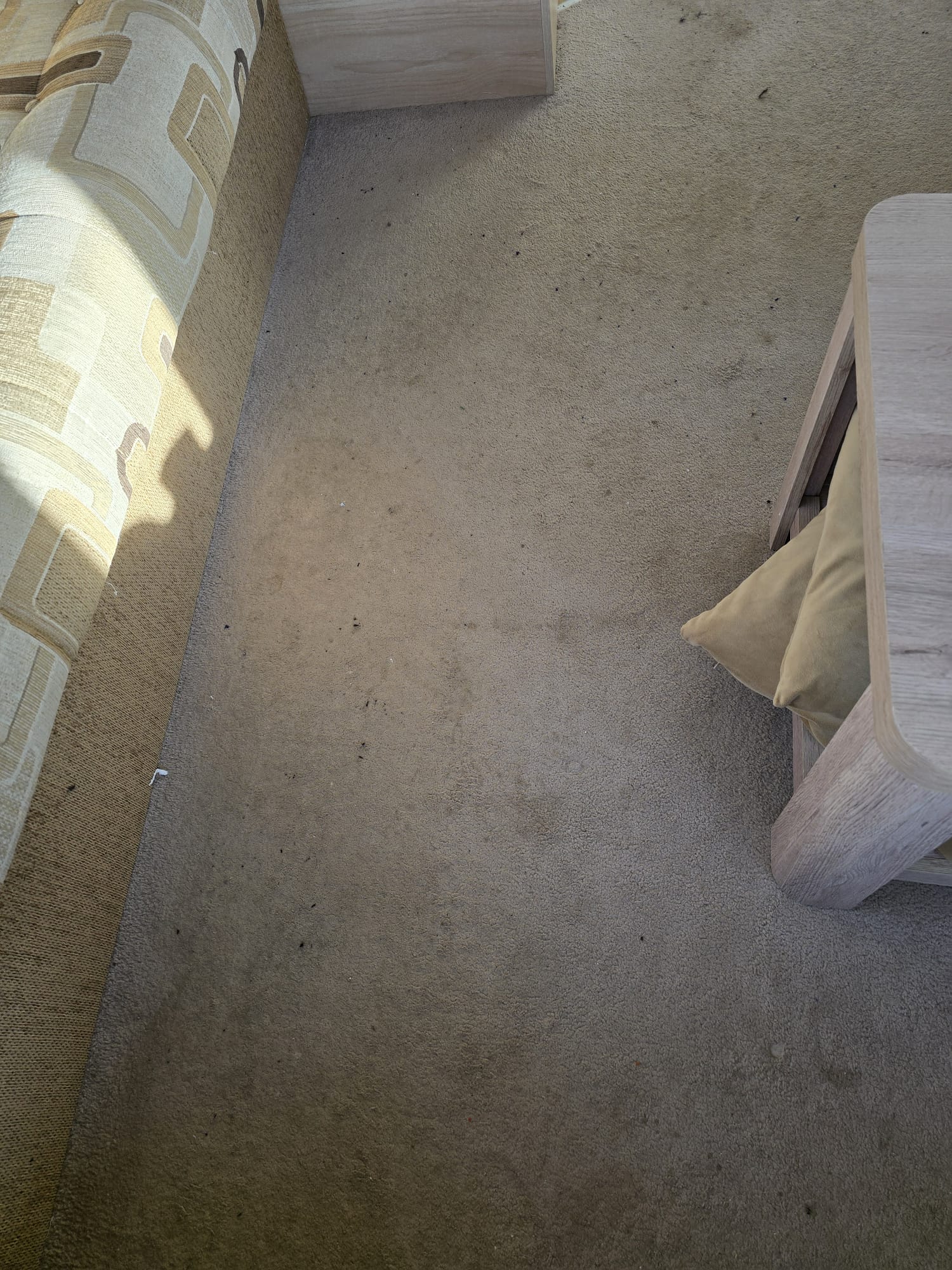 Dirty carpet before professional cleaning in Doncaster