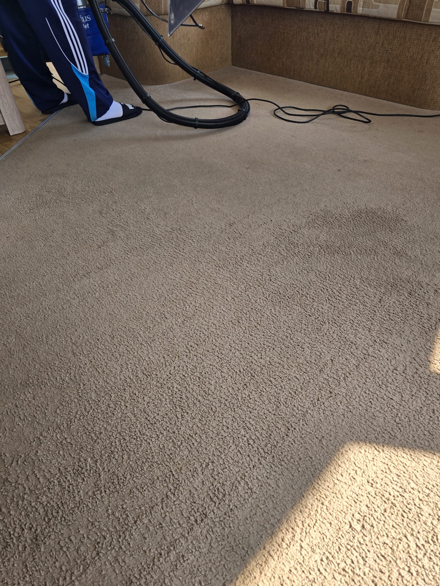 Carpet after professional cleaning showing stain removal